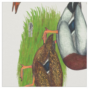 Mallard Drake and Duck Fabric