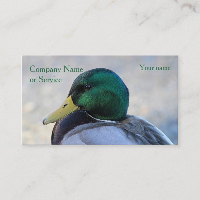 Mallard drake business card (Front)