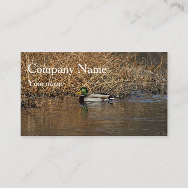 Mallard drake business card (Front)