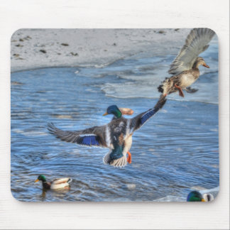 Mallard Drake & Duck Birdlover Wildlife Photo Mouse Mat