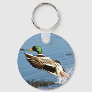 Mallard Drake Duck Key Ring