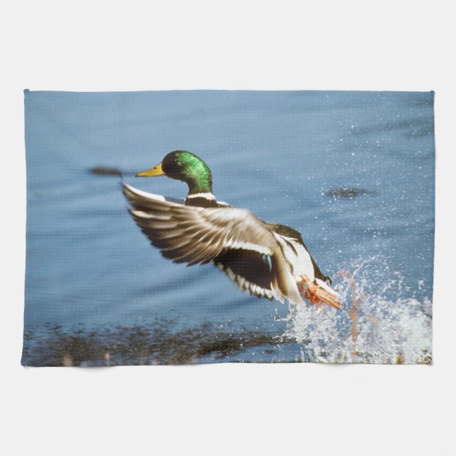 Mallard Drake Duck Tea Towel (Horizontal)