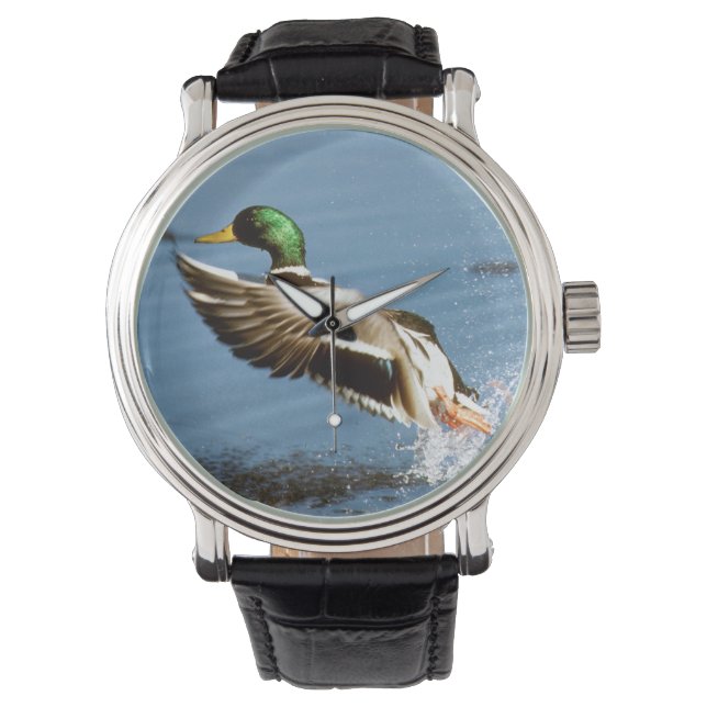 Mallard Drake Duck Watch (Front)