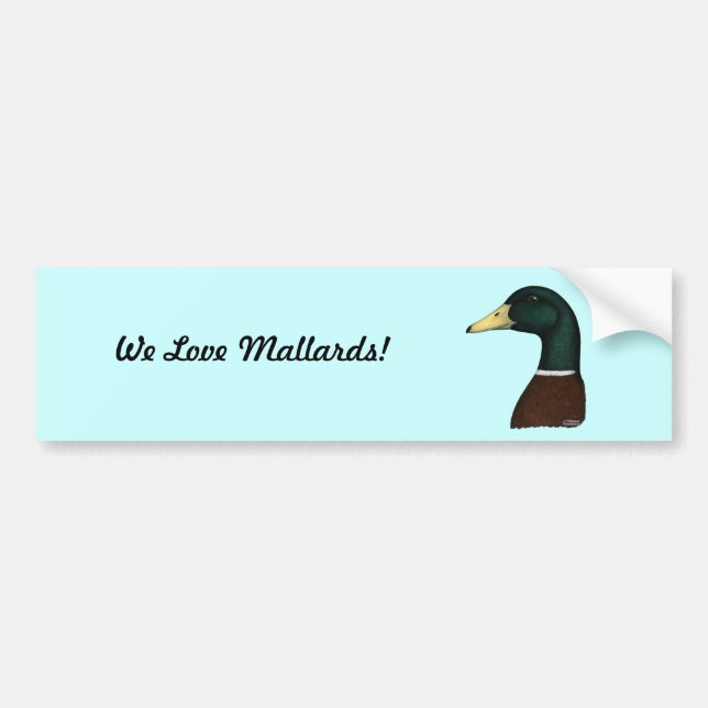 Mallard Drake Head Bumper Sticker (Front)