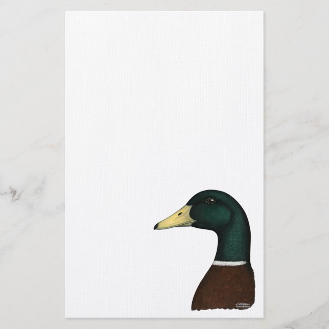 Mallard Drake Head Stationery (Front)