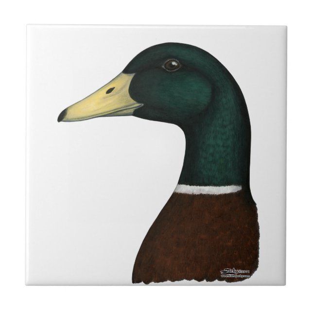 Mallard Drake Head Tile (Front)