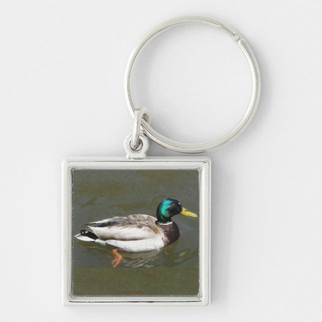 Mallard drake key chain (Front)