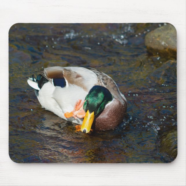 Mallard Drake Mouse Mat (Front)