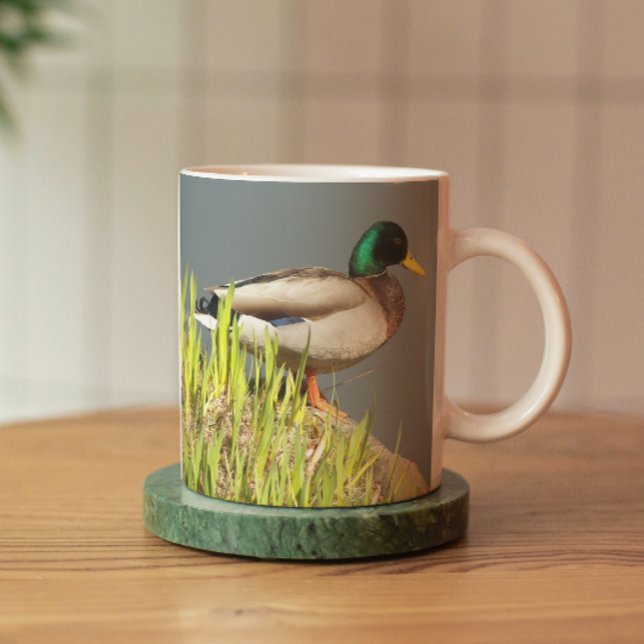 Mallard Drake Nature Photo Mug (In Situ Coaster)