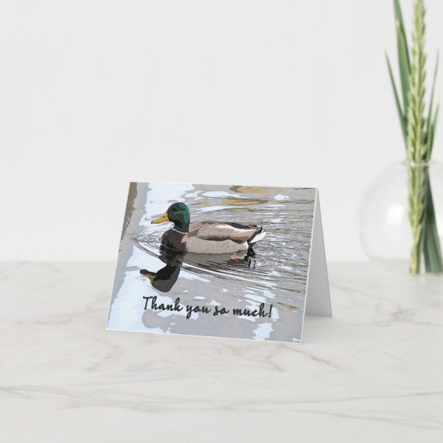 Mallard Drake Poster Thank You Card (Front)