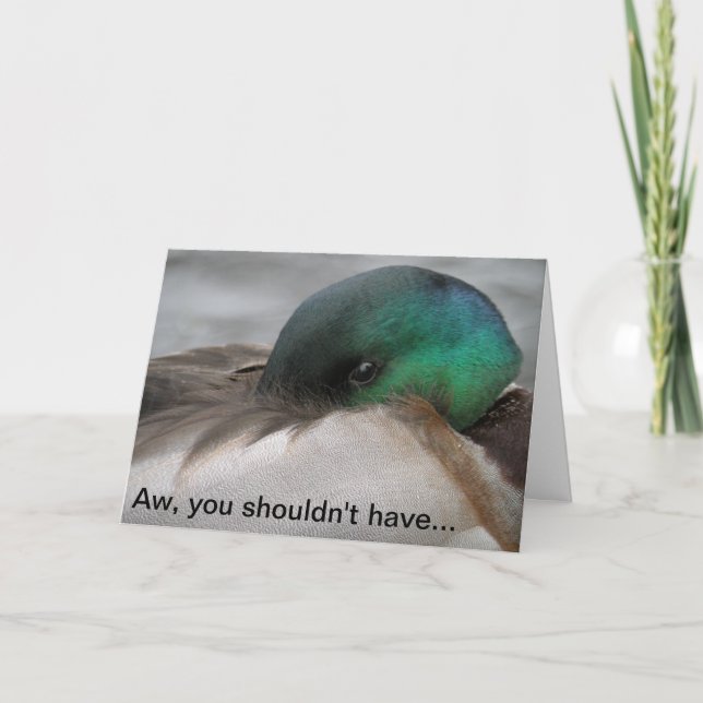 Mallard Drake Thank You Card (Front)