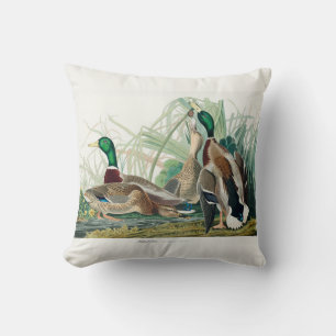 Mallard Duck, 1834, From the Birds of America Cushion