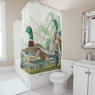 Mallard Duck, 1834, From the Birds of America Shower Curtain