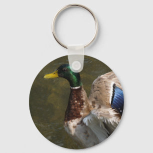 mallard duck about to fly keychain
