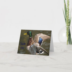 mallard duck about to fly, Thank You Note Card