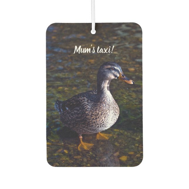 Mallard Duck Air Freshener (Front)