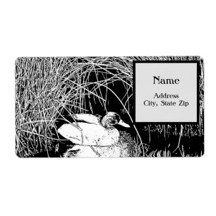 Mallard Duck Among Reeds Black and White Nature