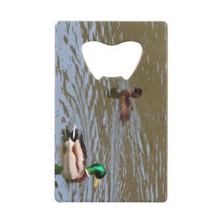 Mallard duck and tufted duck on a river