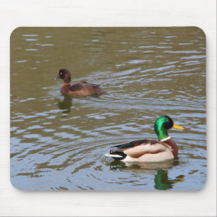 Mallard duck and tufted duck on a river mouse mat