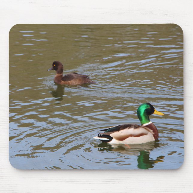 Mallard duck and tufted duck on a river mouse mat (Front)