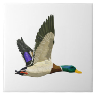 Mallard Duck Artful Tile