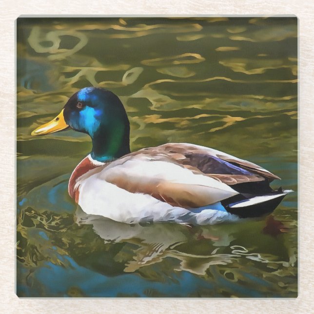 Mallard Duck Artistic Portrait Glass Coaster (Front)