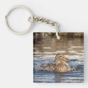 Mallard Duck at Downing Park Key Ring
