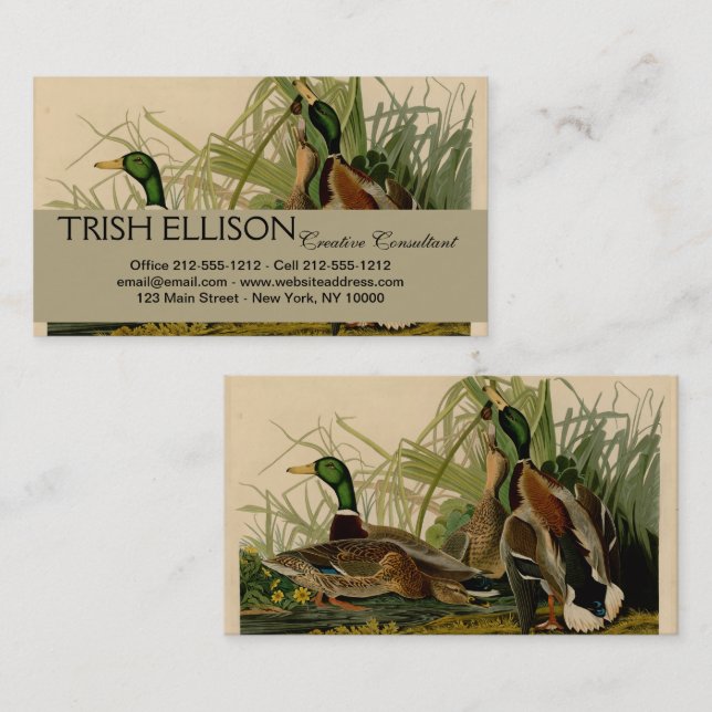 Mallard Duck Audubon Bird Painting Business Card (Front/Back)