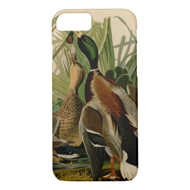 Mallard Duck Audubon Bird Painting Case-Mate iPhone Case (Back)