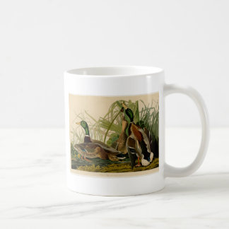 Mallard Duck Audubon Bird Painting Coffee Mug