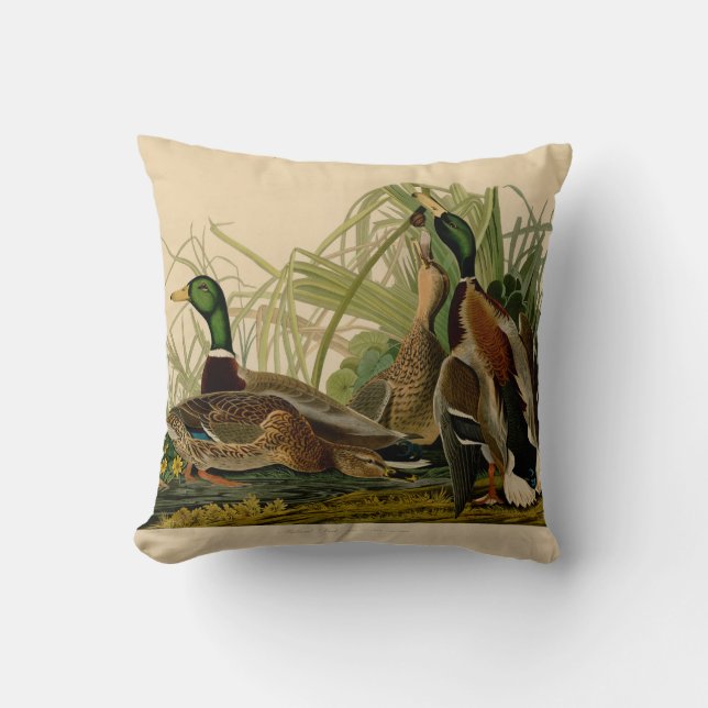 Mallard Duck Audubon Bird Painting Cushion (Front)
