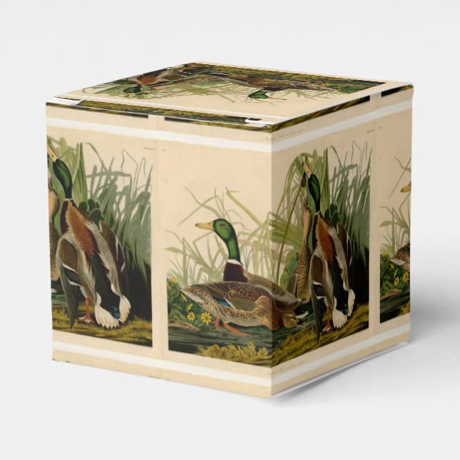 Mallard Duck Audubon Bird Painting Favour Box (Front Side)