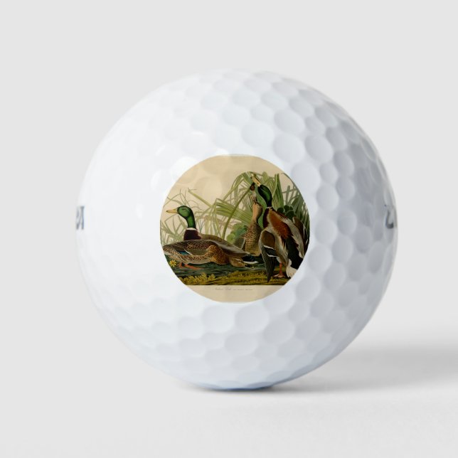 Mallard Duck Audubon Bird Painting Golf Balls (Front)