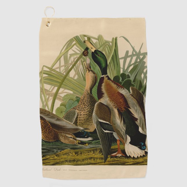 Mallard Duck Audubon Bird Painting Golf Towel (Front)