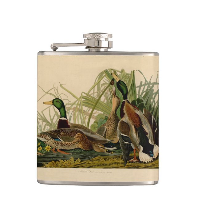 Mallard Duck Audubon Bird Painting Hip Flask (Front)