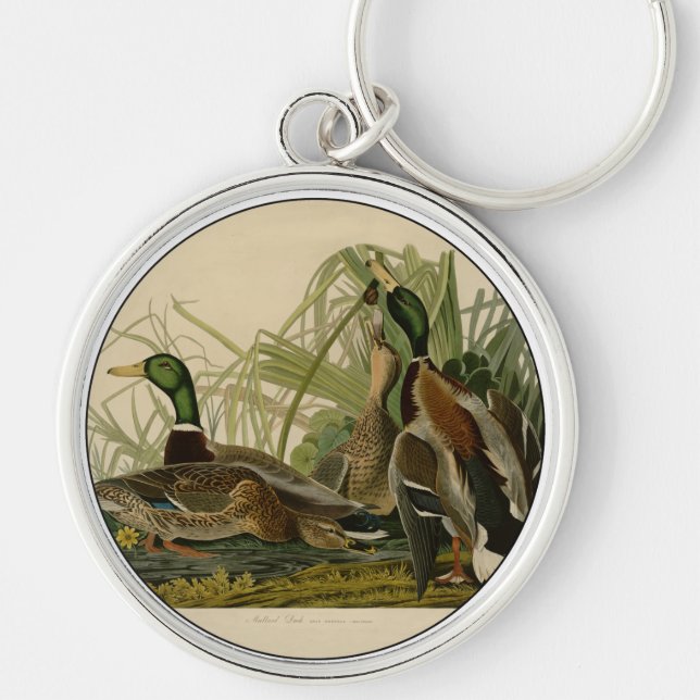 Mallard Duck Audubon Bird Painting Key Ring (Front)