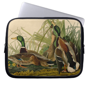 Mallard Duck Audubon Bird Painting Laptop Sleeve