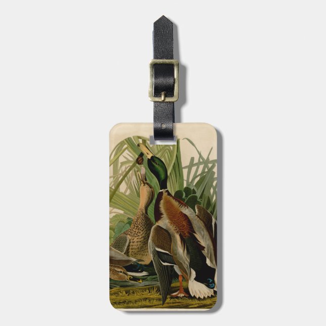 Mallard Duck Audubon Bird Painting Luggage Tag (Front Vertical)