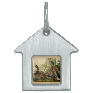 Mallard Duck Audubon Bird Painting Pet ID Tag