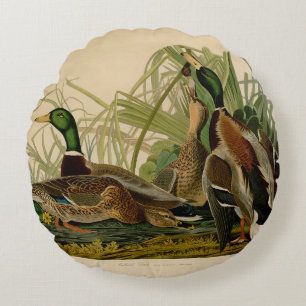 Mallard Duck Audubon Bird Painting Round Cushion