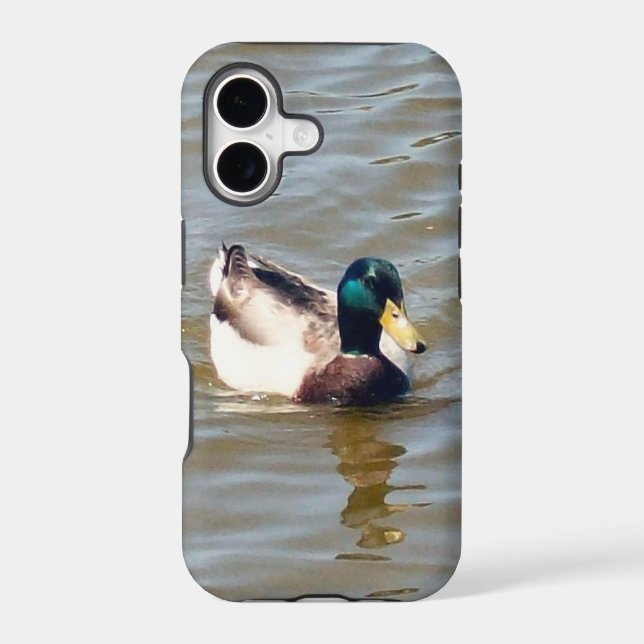 Mallard Duck Barely There iPhone 5/5S Case (Back)