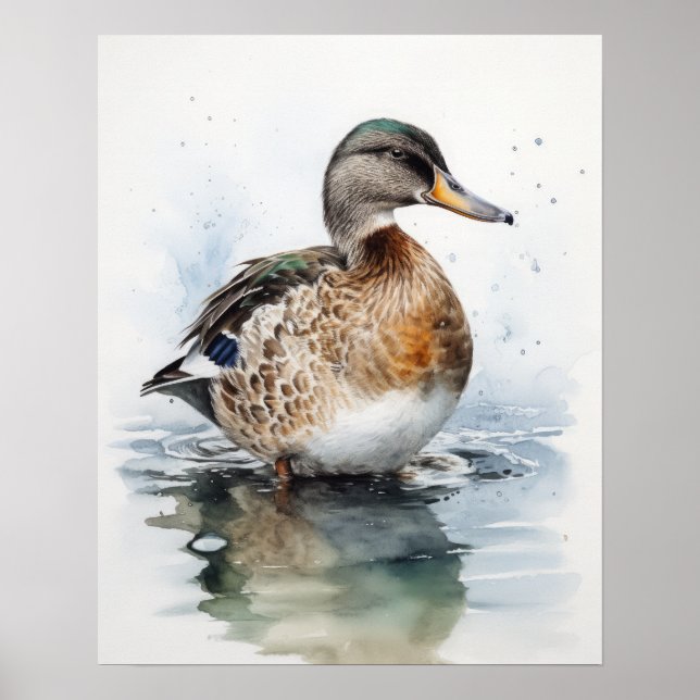 Mallard Duck Bird Art Print Poster (Front)