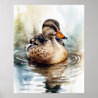 Mallard Duck Bird Art Print Poster