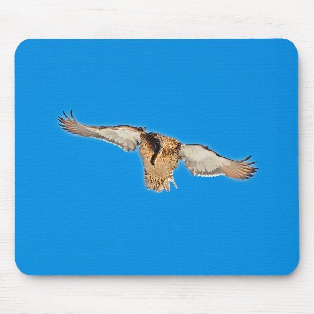 Mallard Duck Birdlover Wildlife Photo Mouse Mat (Front)