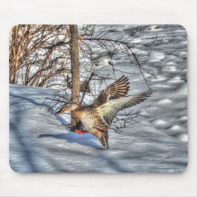 Mallard Duck Birdlover Wildlife Photo Mouse Mat (Front)