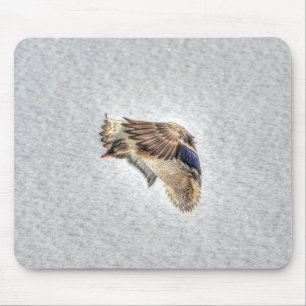 Mallard Duck Birdlover Wildlife Photo Mouse Mat