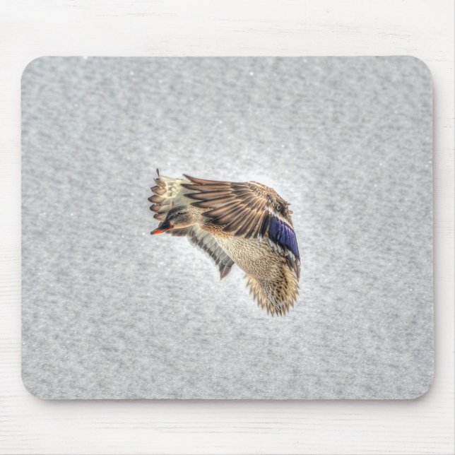 Mallard Duck Birdlover Wildlife Photo Mouse Mat (Front)