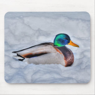 Mallard Duck Birdlover Wildlife Photo Mouse Mat