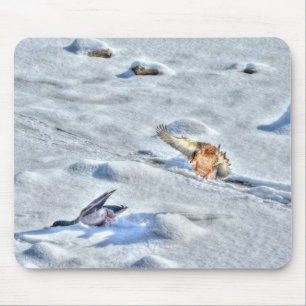 Mallard Duck Birdlover Wildlife Photo Mouse Mat