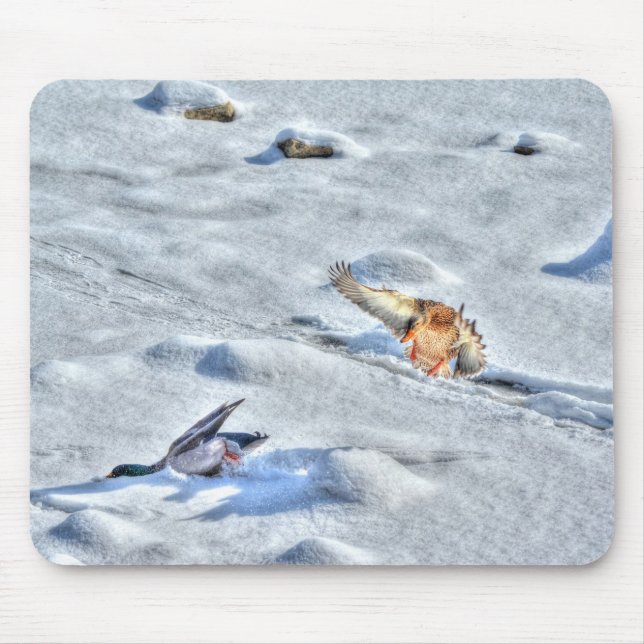 Mallard Duck Birdlover Wildlife Photo Mouse Mat (Front)